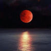 bloodmoonboo